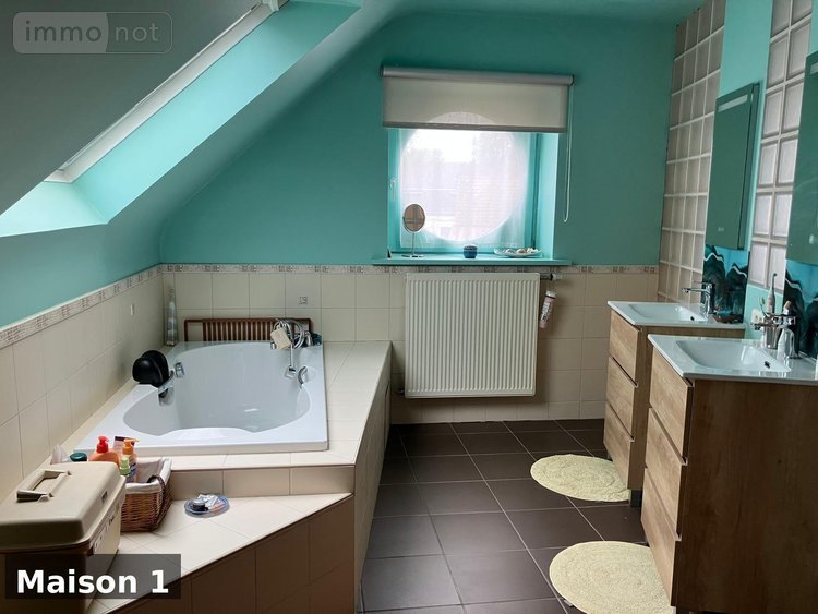 Immeuble a vendre Saint-Saulve 59880 Nord 375 m2  702125 euros