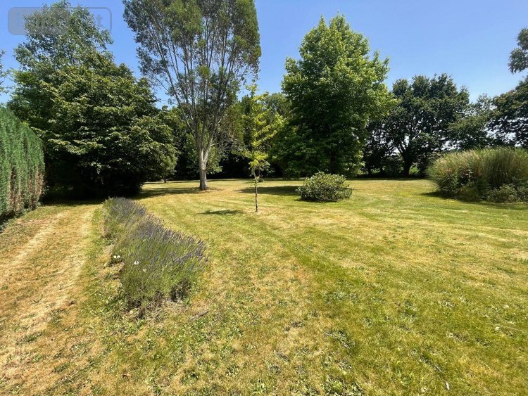 Maison a vendre Pléhédel 22290 Côtes-d'Armor 175 m2 6 pièces 295000 euros