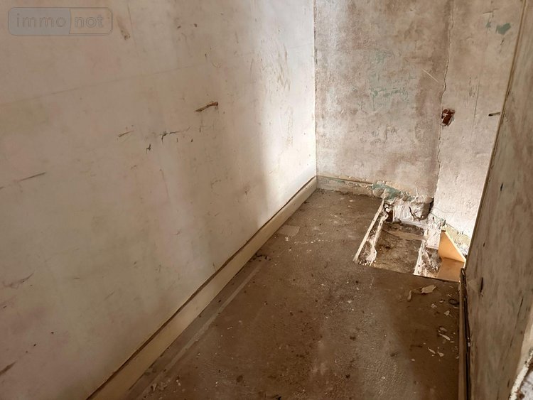Maison a vendre Saint-Julien-du-Sault 89330 Yonne 45 m2 2 pièces 52000 euros