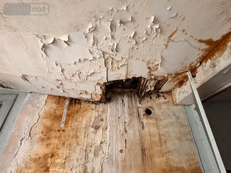 Maison a vendre Saint-Julien-du-Sault 89330 Yonne 45 m2 2 pièces 52000 euros