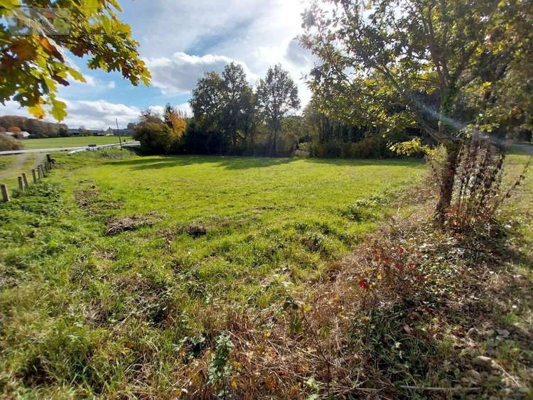 Maison a vendre Taillis 35500 Ille-et-Vilaine  97800 euros