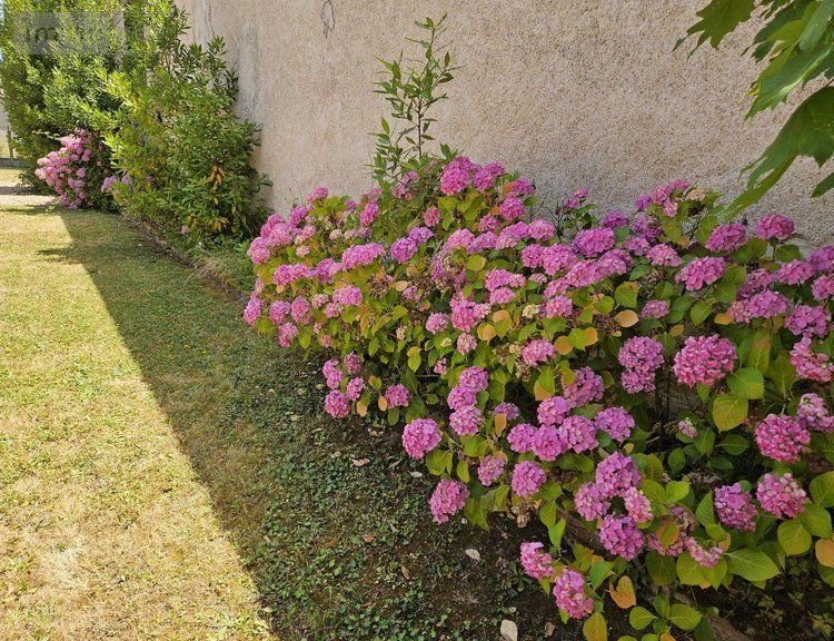 Maison a vendre Châtillon-sur-Cher 41130 Loir-et-Cher 54 m2 2 pièces 93806 euros