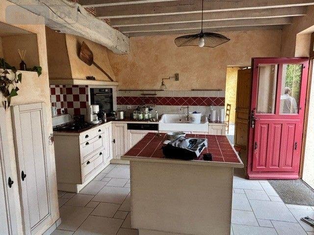 Maison a vendre Mont-près-Chambord 41250 Loir-et-Cher 248 m2 8 pièces 396880 euros