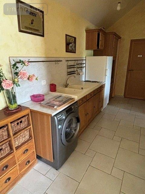 Maison a vendre Mont-près-Chambord 41250 Loir-et-Cher 248 m2 8 pièces 396880 euros