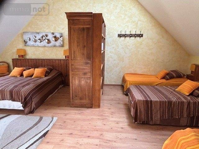 Maison a vendre Mont-près-Chambord 41250 Loir-et-Cher 248 m2 8 pièces 396880 euros