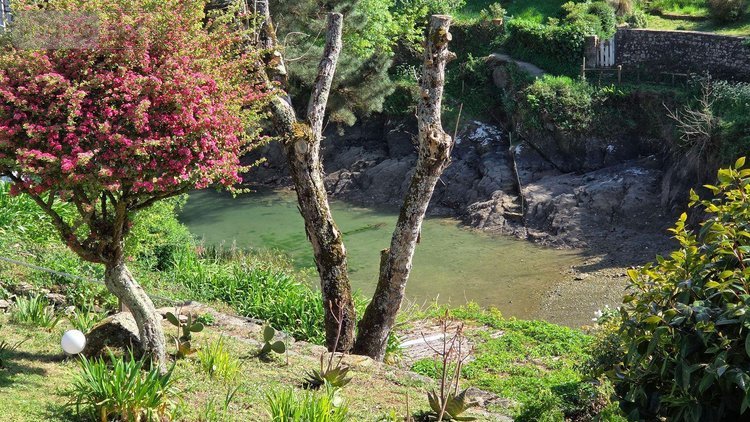 Maison a vendre Clohars-Carnoët 29360 Finistère 134 m2  935100 euros