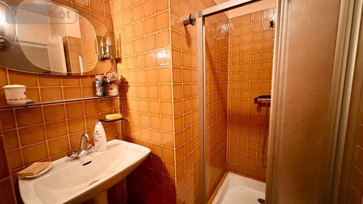 Maison a vendre La Ferté-Imbault 41300 Loir-et-Cher 105 m2 4 pièces 168640 euros