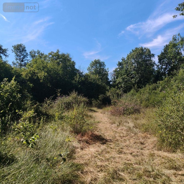 Terrains de loisirs bois etangs a vendre Chappes 10260 Aube 2500 m2  23500 euros