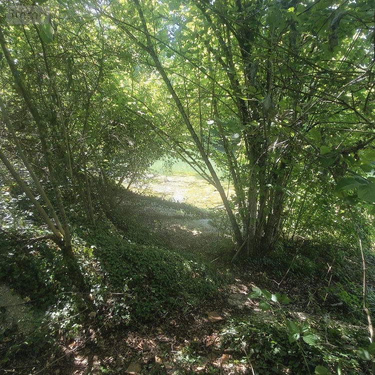 Terrains de loisirs bois etangs a vendre Chappes 10260 Aube 2500 m2  23500 euros