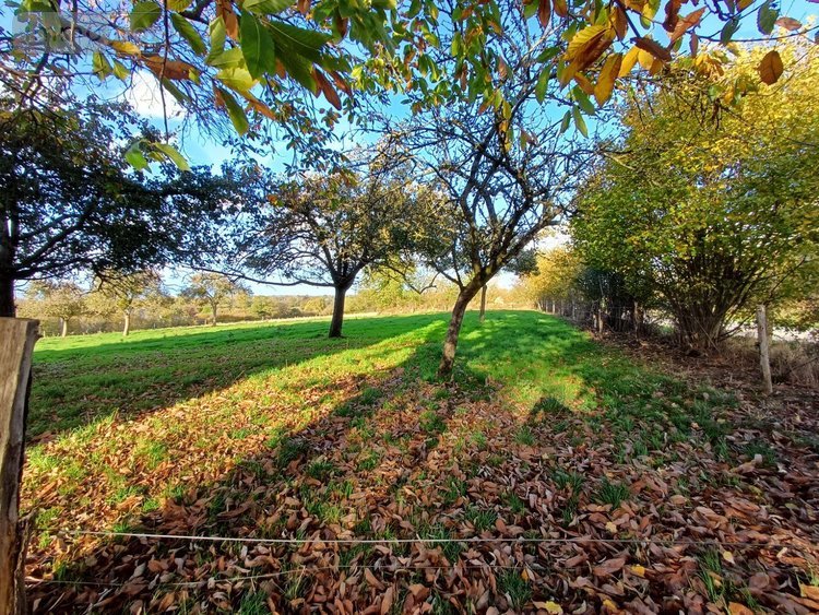 Terrain a batir a vendre Tessy-Bocage 50420 Manche 2079 m2  26250 euros