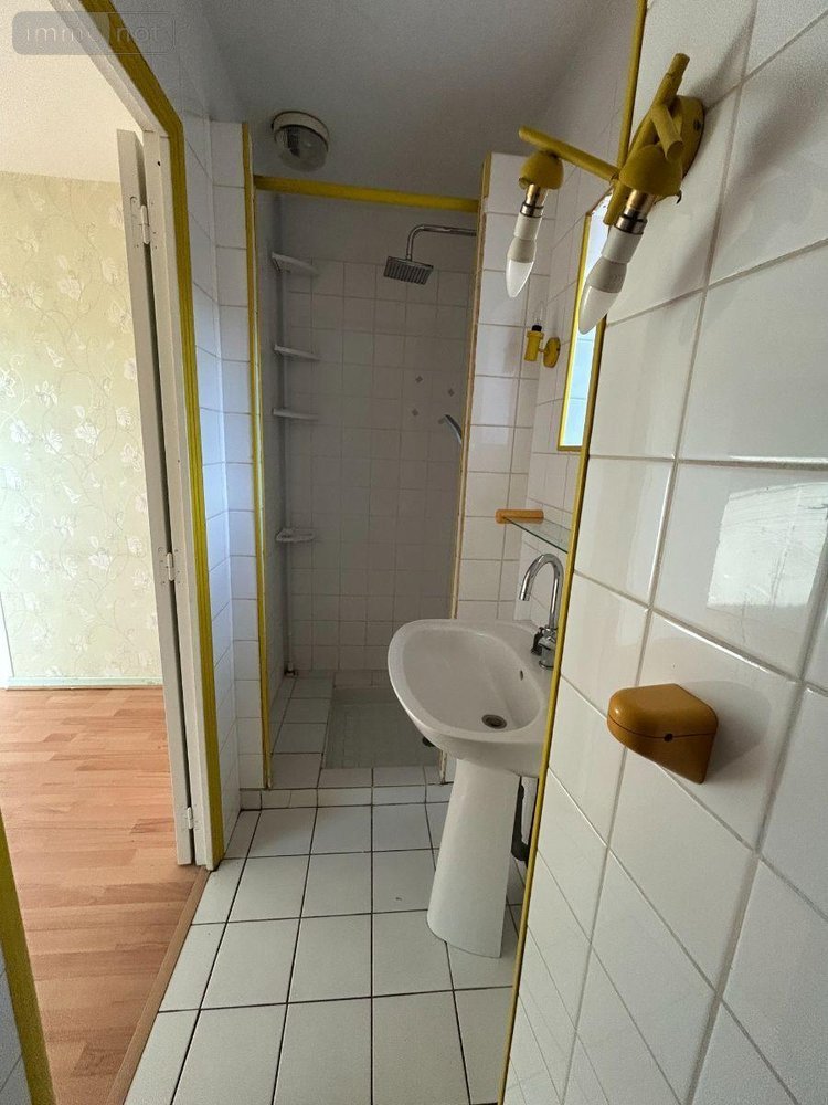 Location appartement Bar-sur-Seine 10110 Aube 143 m2 5 pièces 740 euros