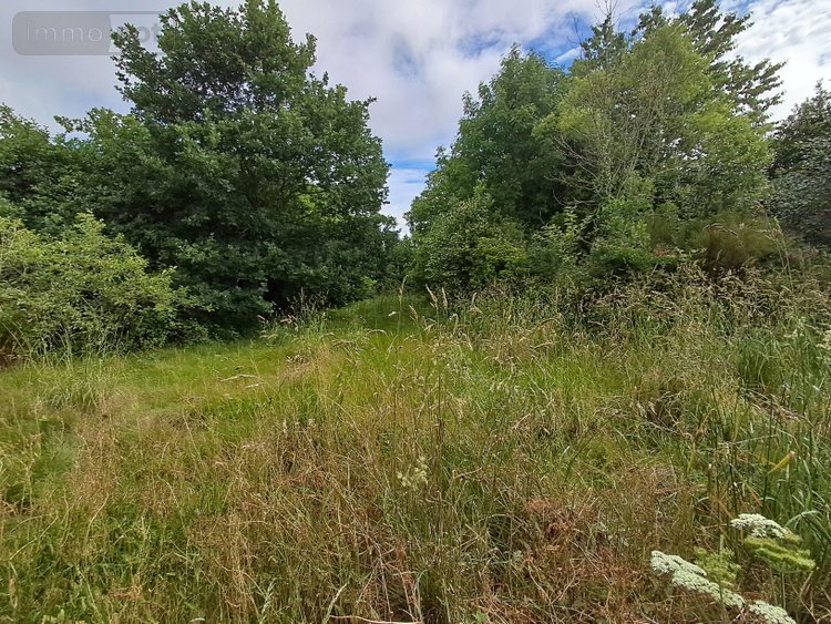 Maison a vendre Poullaouen 29246 Finistère 118 m2 5 pièces 63480 euros