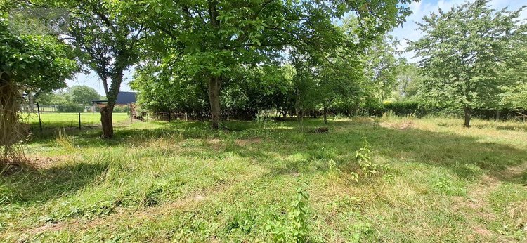 Maison a vendre Wasigny 08270 Ardennes 99 m2 5 pièces 66000 euros
