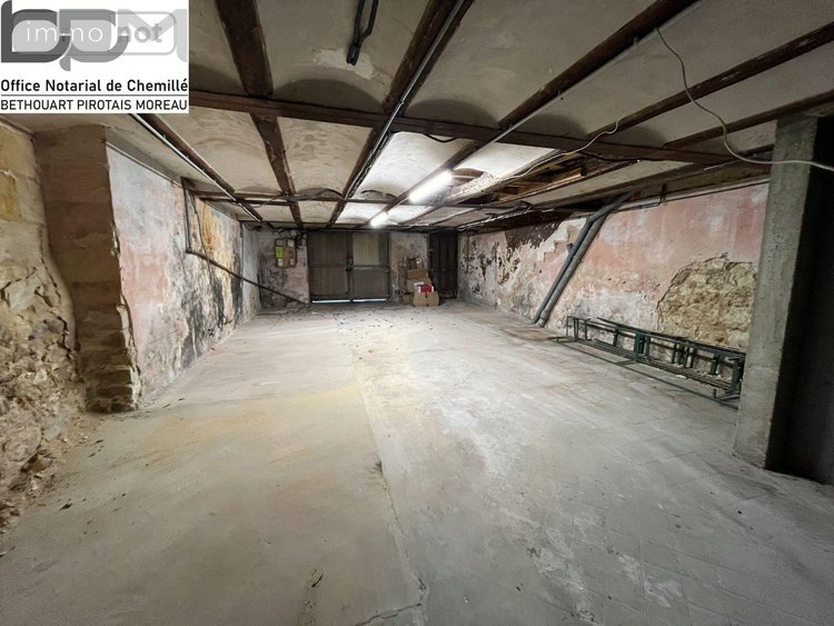 Immeuble a vendre Baugé-en-Anjou 49150 Maine-et-Loire 225 m2  137000 euros