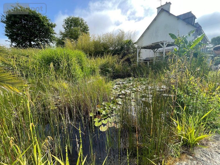 Maison a vendre Lanvollon 22290 Côtes-d'Armor 146 m2 3 pièces 246000 euros