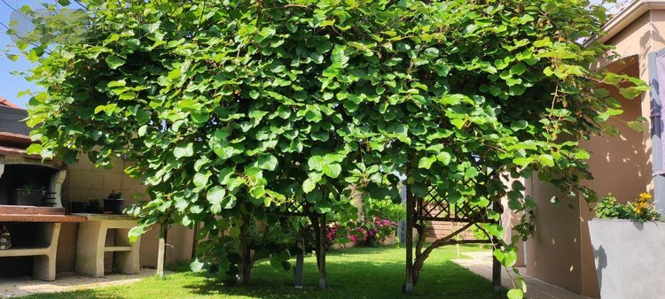 Maison a vendre Saint-Mars-la-Réorthe 85590 Vendée 168 m2 7 pièces 414000 euros