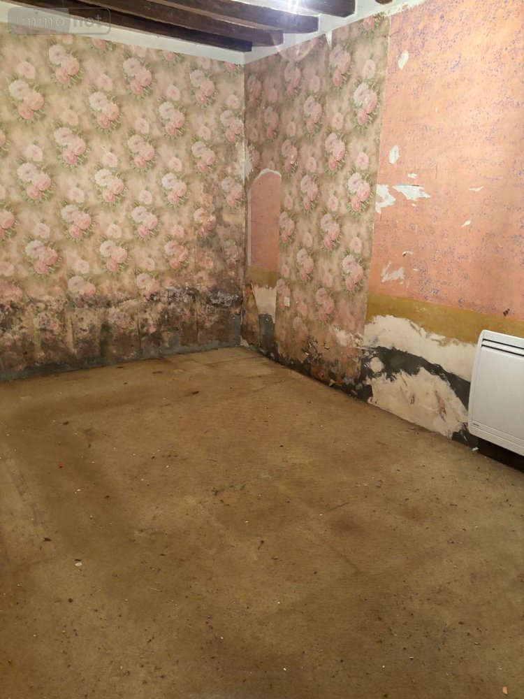 Maison a vendre Saint-Pierre-des-Ormes 72600 Sarthe 54 m2 3 pièces 43200 euros
