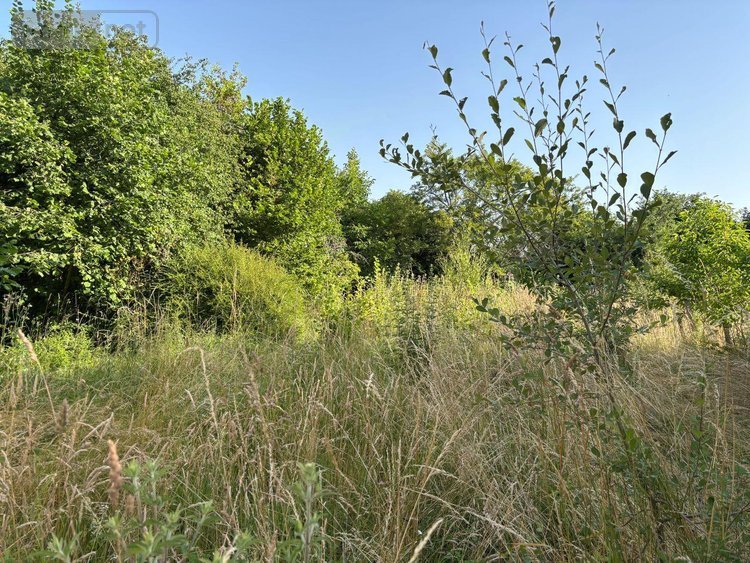 Maison a vendre Saint-Pierre-des-Ormes 72600 Sarthe 54 m2 3 pièces 43200 euros