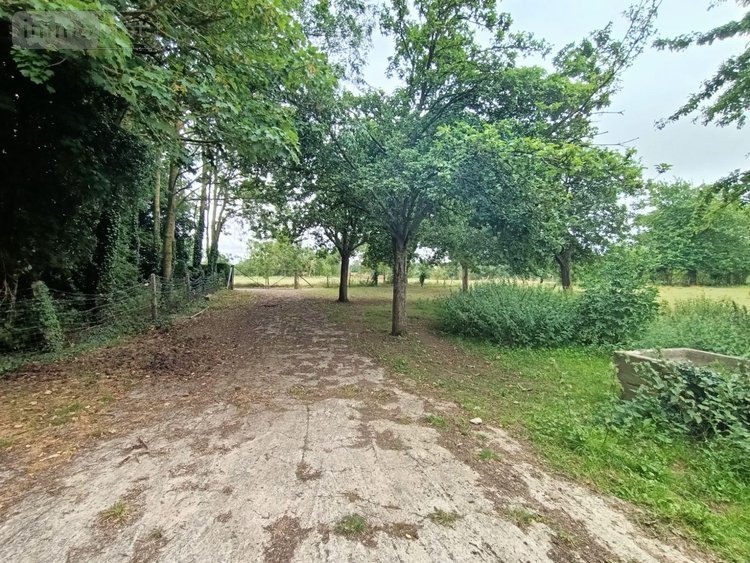 Maison a vendre Thue et Mue 14740 Calvados 83 m2 5 pièces 294000 euros