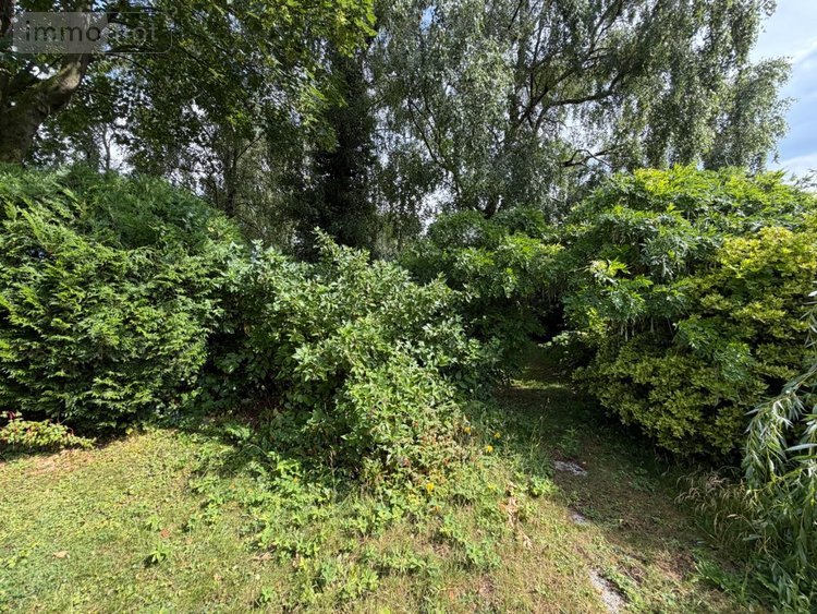 Maison a vendre Rexpoëde 59122 Nord 113 m2 5 pièces 198750 euros
