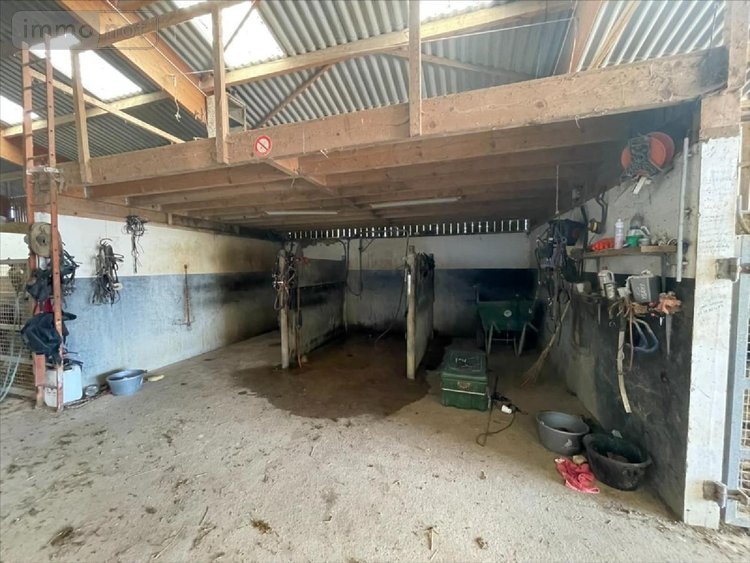 Terrains de loisirs bois etangs a vendre Occagnes 61200 Orne 125500 m2  571179 euros
