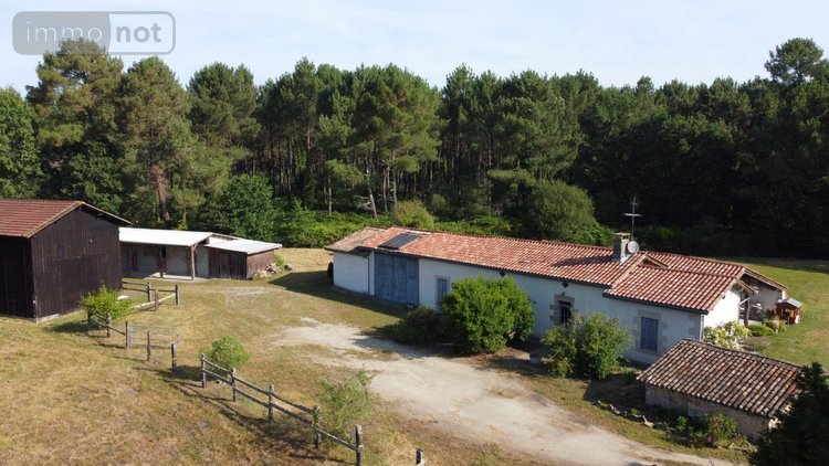Maison a vendre Bazas 33430 Gironde 207 m2 7 pièces 490000 euros