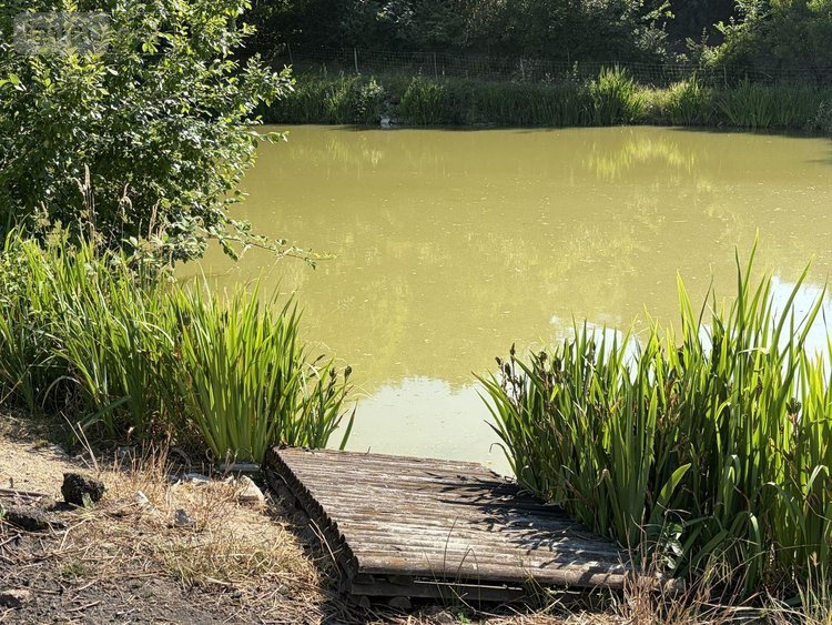 Terrains de loisirs bois etangs a vendre Vitrac 15220 Cantal 9282 m2  148400 euros