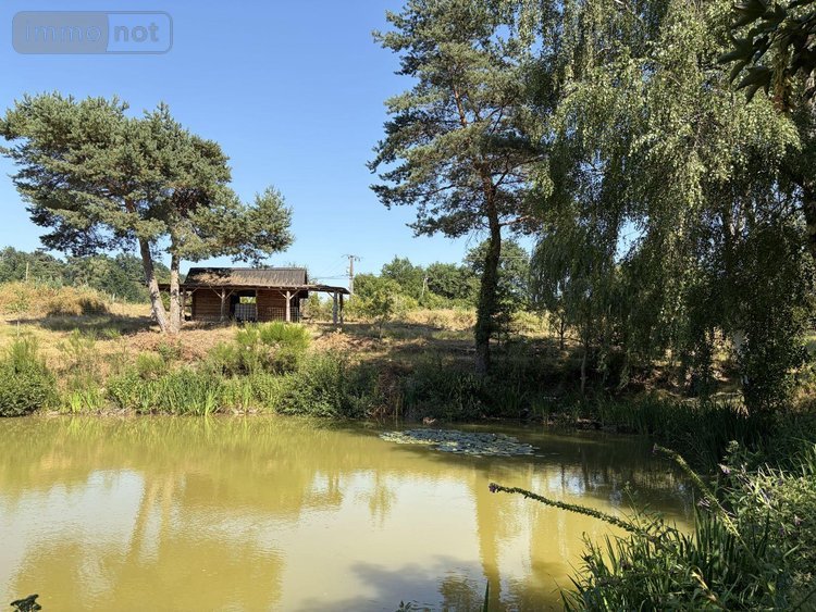 Terrains de loisirs bois etangs a vendre Vitrac 15220 Cantal 9282 m2  148400 euros