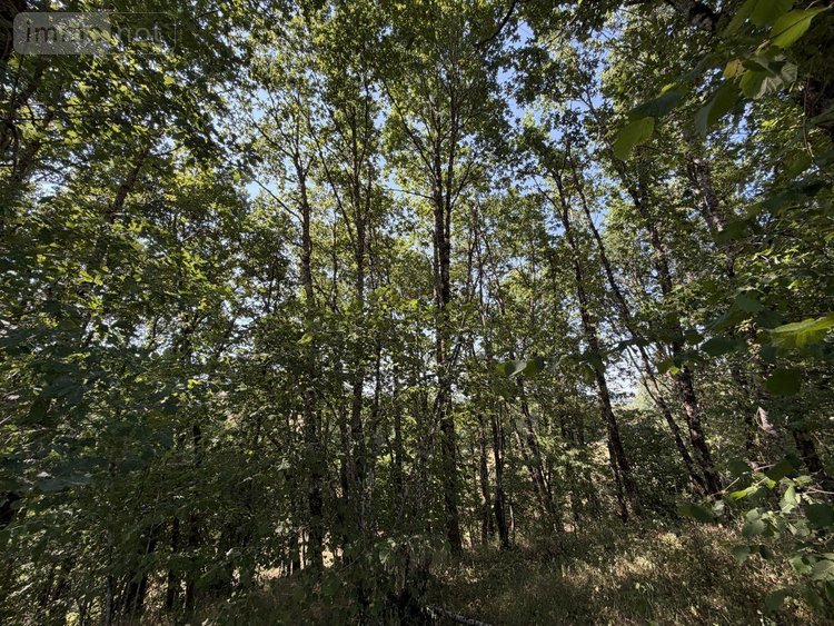 Terrains de loisirs bois etangs a vendre Vitrac 15220 Cantal 9282 m2  148400 euros