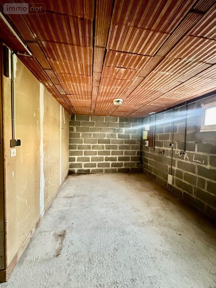 Maison a vendre Palluau-sur-Indre 36500 Indre 80 m2 4 pièces 80625 euros