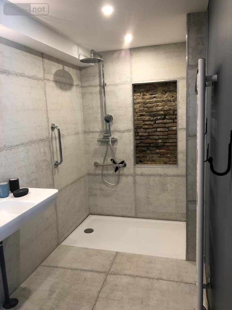 propriete a vendre Ceyzérieu 01350 Ain 460 m2  1200000 euros