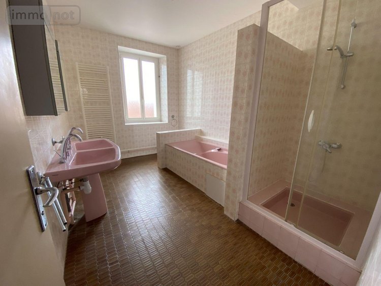 Maison a vendre Châtillon-sur-Indre 36700 Indre 130 m2 4 pièces 117000 euros
