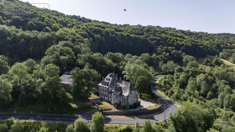 propriete a vendre Raulhac 15800 Cantal 782 m2 23 pièces 860000 euros