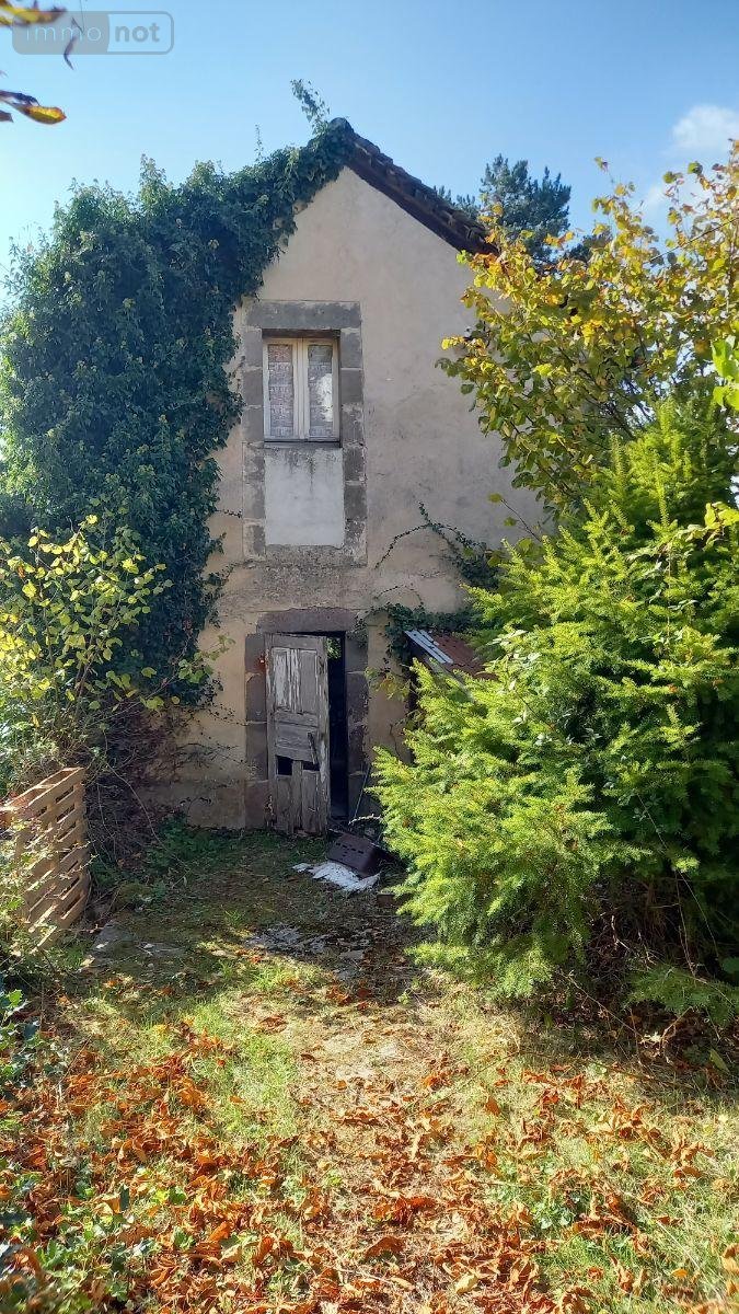 Maison a vendre Raulhac 15800 Cantal 234 m2  232500 euros