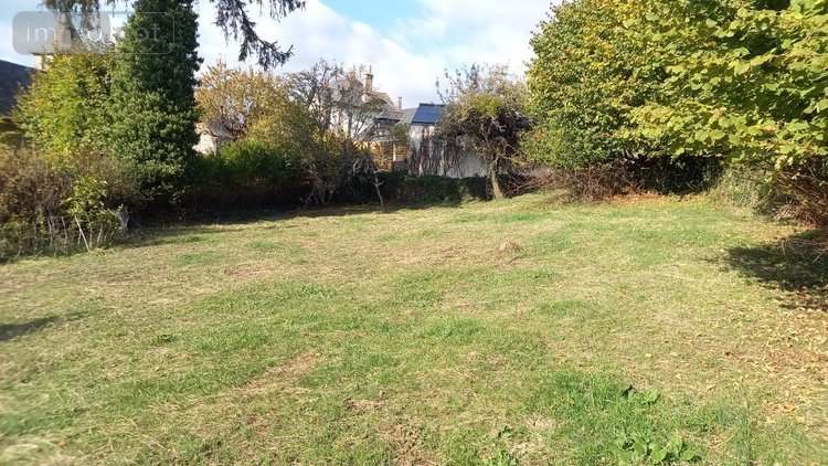 Maison a vendre Raulhac 15800 Cantal 234 m2  232500 euros