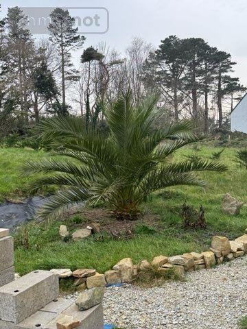 Maison a vendre Lanvéoc 29160 Finistère 121 m2 5 pièces 295120 euros