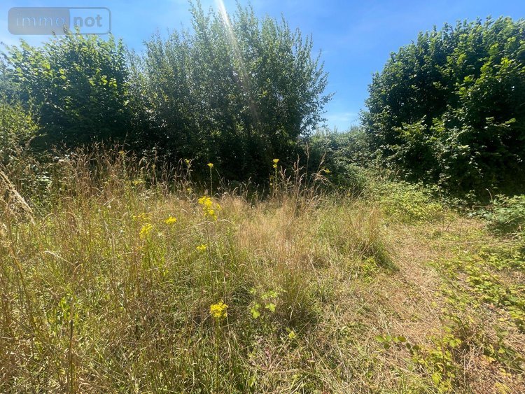 Maison a vendre Ambrières-les-Vallées 53300 Mayenne 75 m2 3 pièces 42400 euros