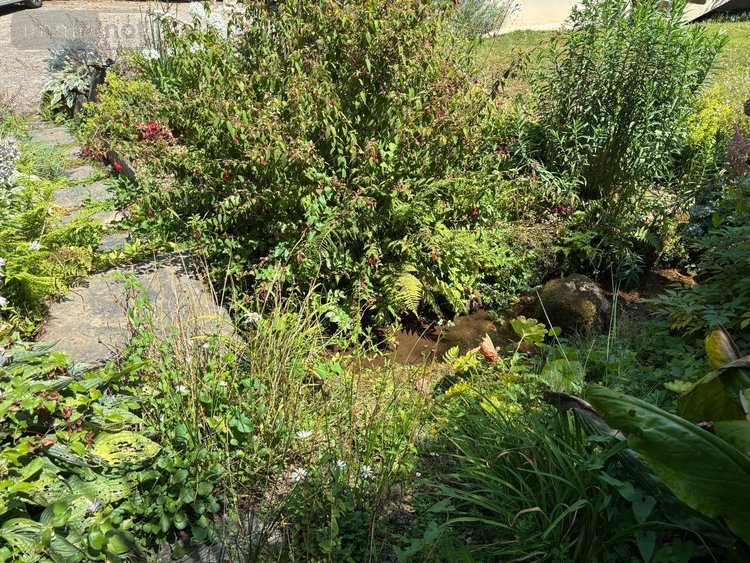 Maison a vendre Edern 29510 Finistère 100 m2 8 pièces 230600 euros