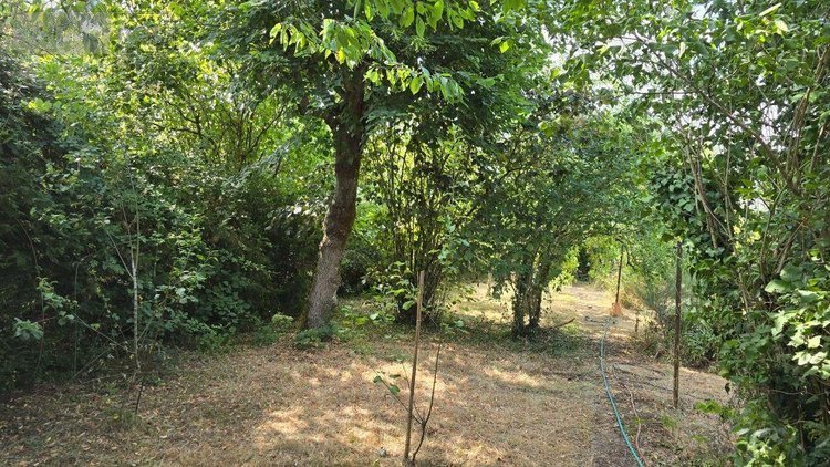 Maison a vendre Lezay 79120 Deux-Sèvres 162 m2 7 pièces 126700 euros