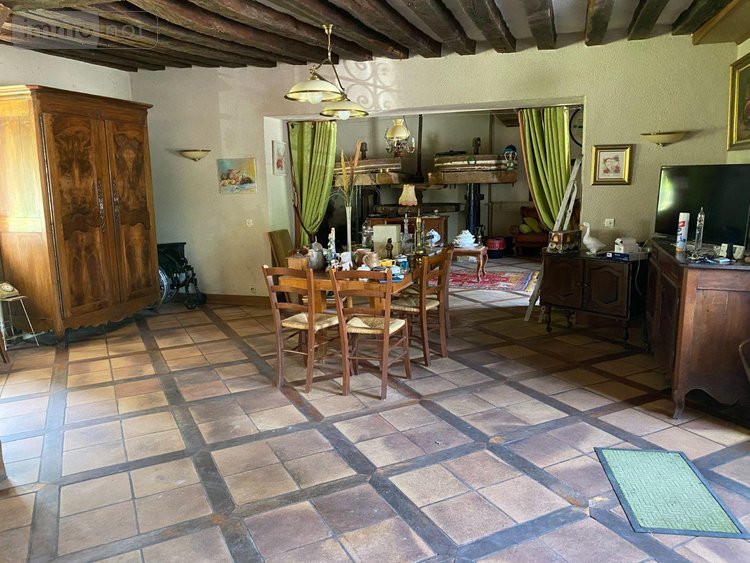 Maison a vendre Châtillon-sur-Indre 36700 Indre 190 m2 6 pièces 335000 euros
