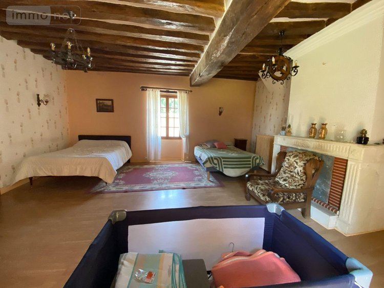 Maison a vendre Châtillon-sur-Indre 36700 Indre 190 m2 6 pièces 335000 euros