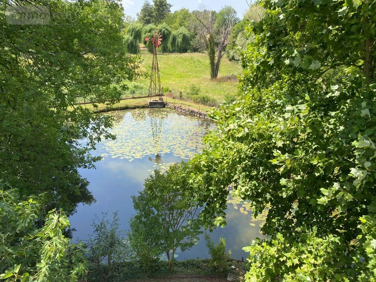Maison a vendre Châtillon-sur-Indre 36700 Indre 190 m2 6 pièces 335000 euros