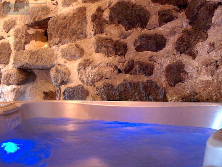 propriete a vendre Saint-Cirgues-de-Jordanne 15590 Cantal 504 m2 18 pièces 676000 euros