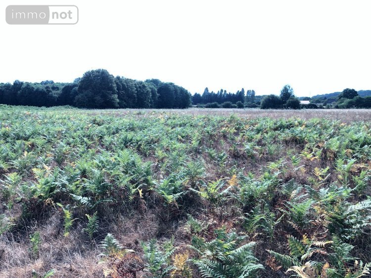Bien agricole a vendre Beaufay 72110 Sarthe  17604 euros