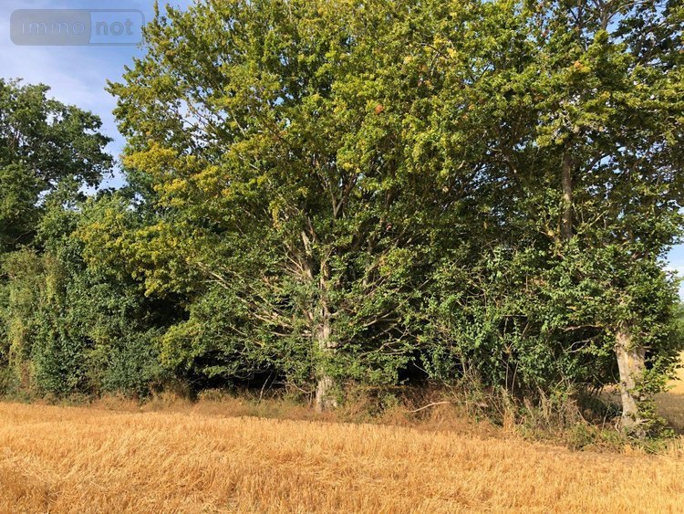Bien agricole a vendre Beaufay 72110 Sarthe  14200 euros