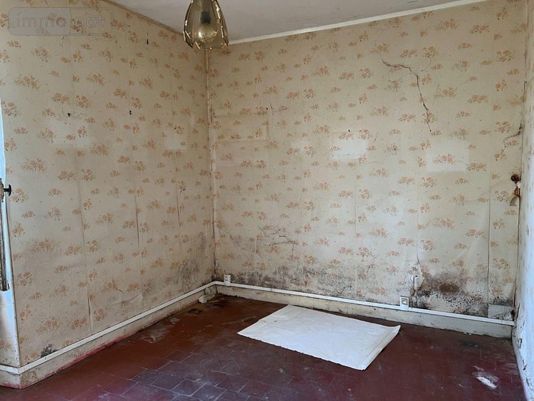 Maison a vendre Saint-Florentin 36150 Indre 89 m2 5 pièces 48600 euros