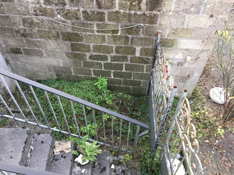 photos