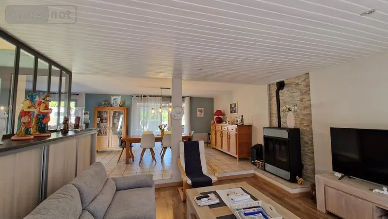 photos