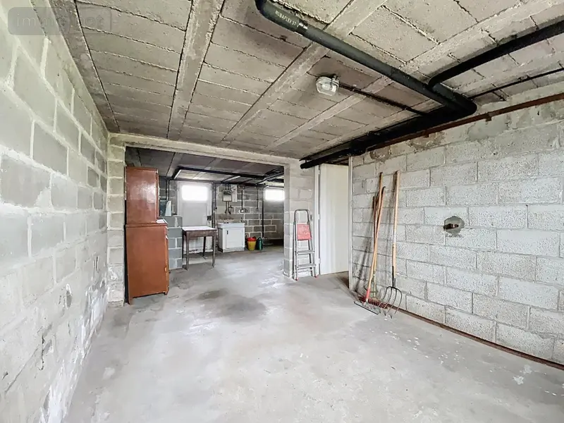 photos