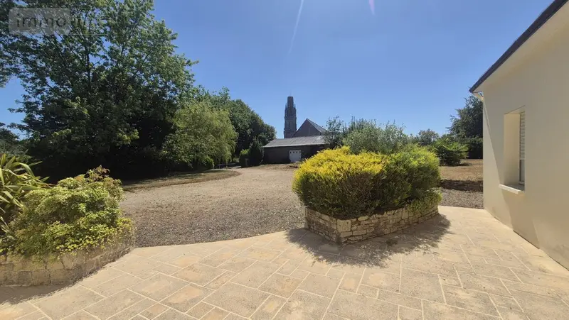 photos
